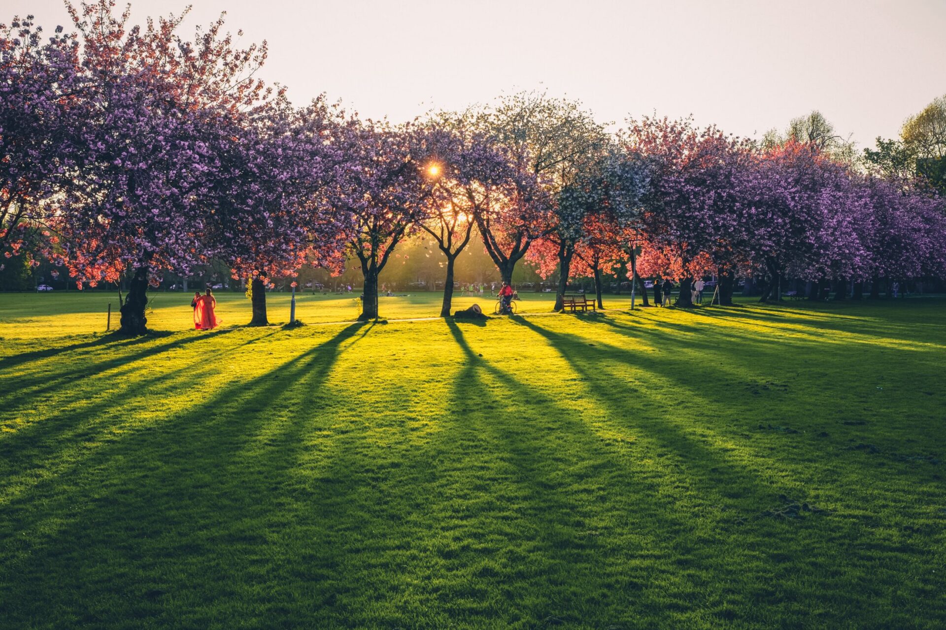 eamonn-wang-WhOKD0Gk8K8-unsplash