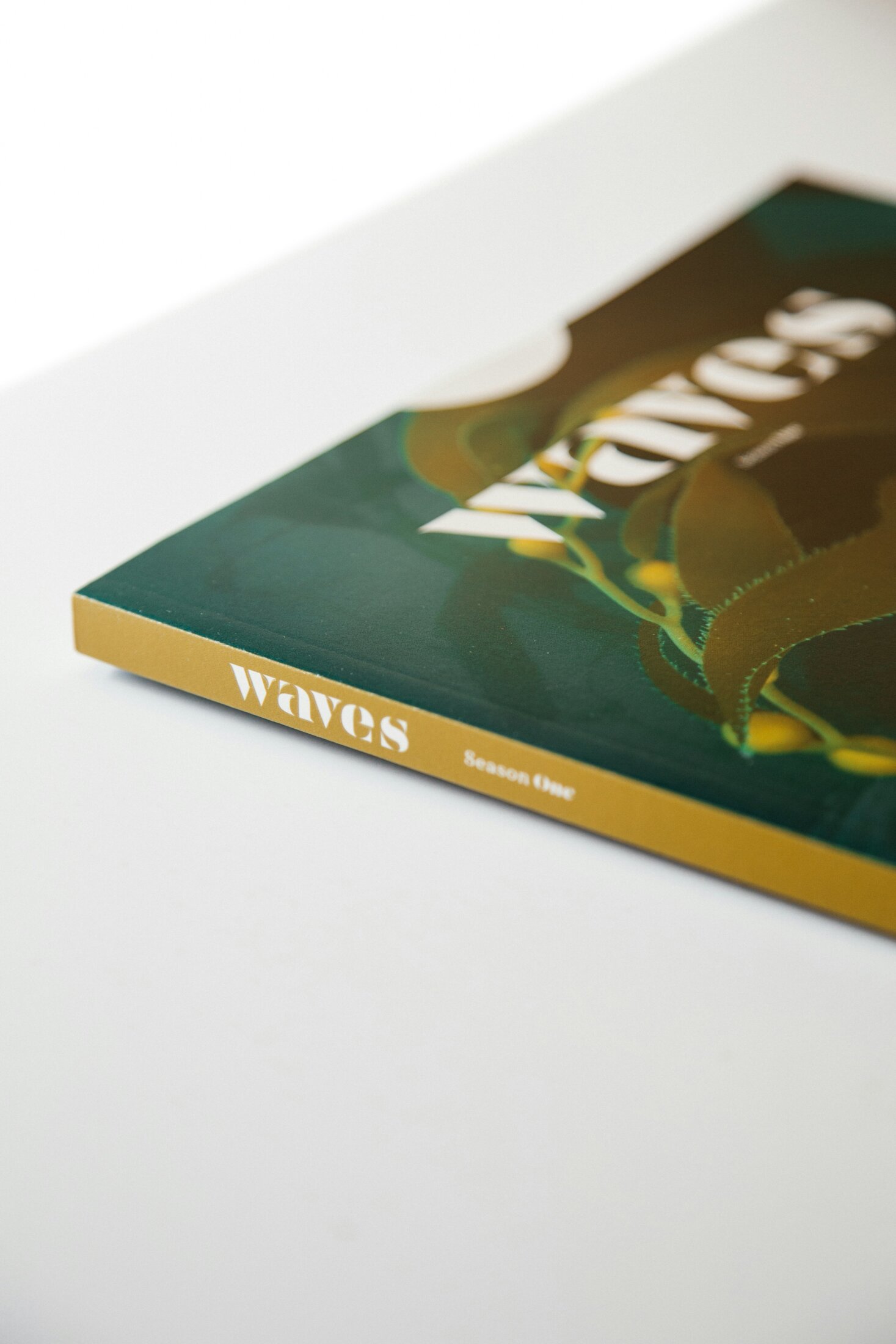 nmg-network-1OuY1iPO7pk-unsplash